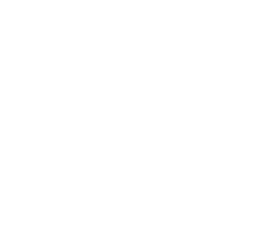 NG CONSULTORES & ASOC