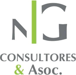 NG CONSULTORES & ASOC