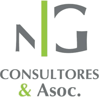 NG CONSULTORES & ASOC